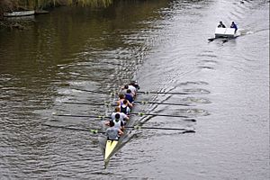 Rowing at Shrewsbury - geograph.org.uk - 1195498