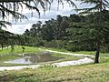 Ruffey Creek and Wetlands