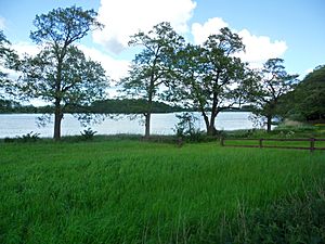 Südensee von Süden