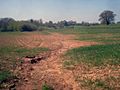 Soil erosion at Hill Farm - geograph.org.uk - 1287527