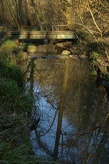 St Annes Park 2.jpg