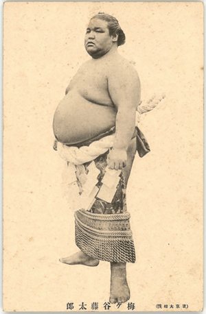 Sumo-Wrestler-Umegatani-Tōtarō-II-Postcard.png