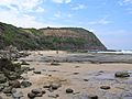 Susan Gilmore Beach from Bar Beach