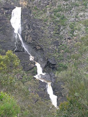 Tia Falls 01