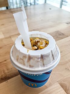 Tiramisu McFlurry 01