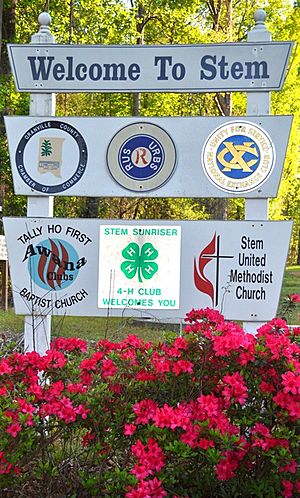 Town of Stem Sign.jpg