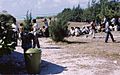 Vietnamese refugees on Wake Island