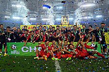 2014 AFF Suzuki Champions