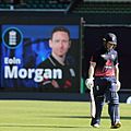 2018.01.21.17.03.33-Eoin Morgan out (39081508940)