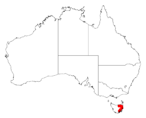 Acacia pataczekiiDistMap676.png