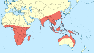 Agriocnemis probable distribution map.svg