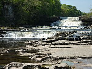 Aysgarth Lower Force