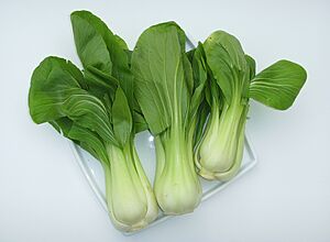 Baby Pak Choi (01)