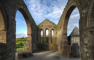 Baltinglass-abbey-1