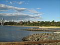 Bicentennial Park and Glebe Point NSW