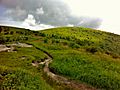 Black Balsam Knob