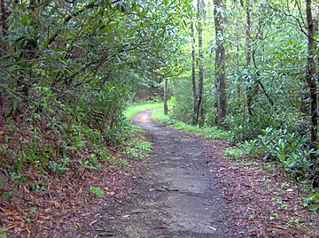 Bote Mountain Trail