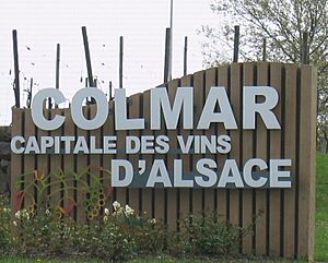 Colmar capitale vins1