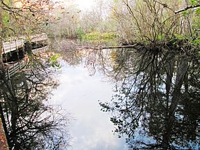 Corkscrew - Lettuce Lakes