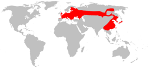 Distribution of Micromys minutus Map.png