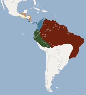 Distribution of Uroderma bilobatum.png