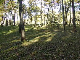 Effigy Mounds Iowa Sny Magill.JPG