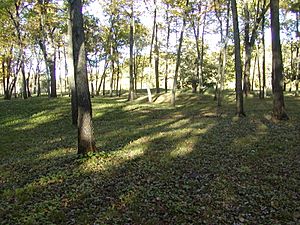 Effigy Mounds Iowa Sny Magill