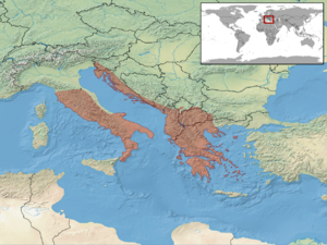 Elaphe quatuorlineata distribution.png