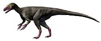 Eotyrannus 2 NT.jpg