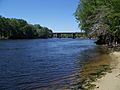 Fanning Springs Park Suwannee03