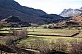 Fields in Little Langdale