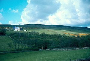 Finstownwood