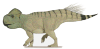 Gryphoceratops morrisoni.png