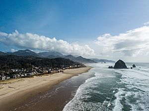 Haystack Rock, Oregon (drone photograph)