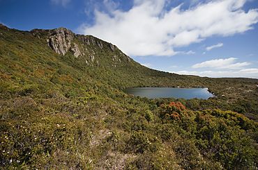 Ladies Tarn Hartz NP.jpg