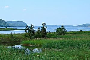 Lake Nipigon