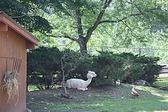 Lehigh Valley Zoo 07