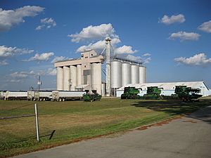 Lissie TX Grain Elevator