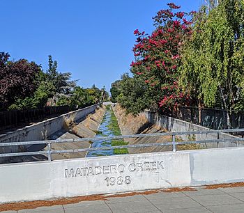 Matadero Creek at Ross Road.jpg