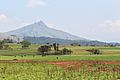 Mlilwane Wildlife Sanctuary in Eswatini 01