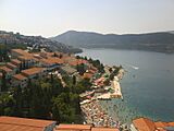 Neum02450