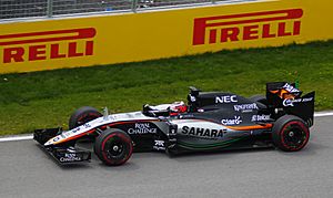 Nico Hulkenberg 070615 b