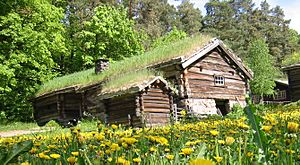 Norskfolkemuseum 1