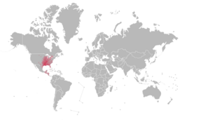 Opacity map of Lepisosteiformes