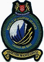 RSAF CAB (West) shoulder patch.jpg