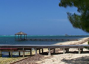 Red bay dock and piers