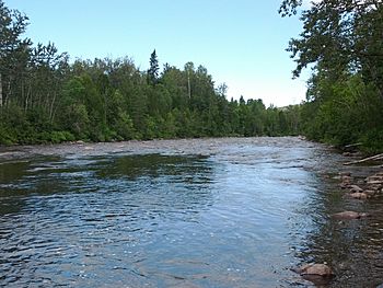 Rivière Mitis - panoramio.jpg