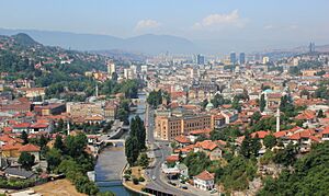 Sarajevo City Panorama