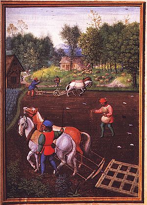 Simon Bening - September