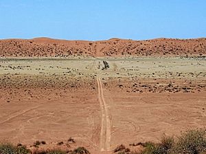 SimpsonDesert